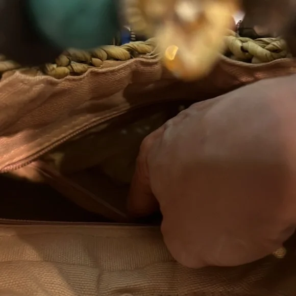 Cappelli Straworld Dorfman Pacific Purse Beautiful unique bag gently used - Picture 8 of 10